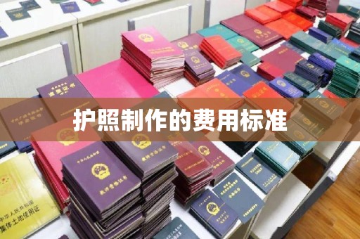 竹南护照制作的费用标准