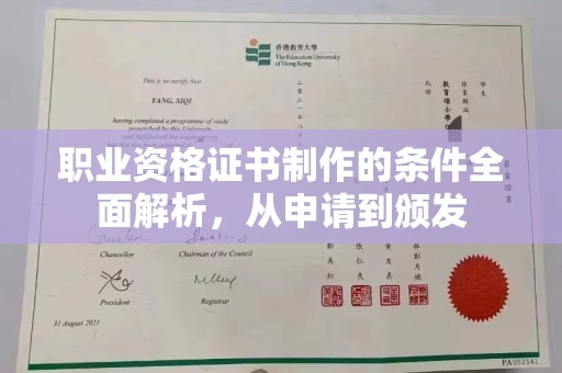 竹南职业资格证书制作的条件全面解析，从申请到颁发