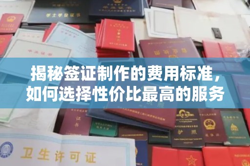 竹南揭秘签证制作的费用标准，如何选择性价比最高的服务？