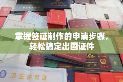 竹南掌握签证制作的申请步骤，轻松搞定出国证件