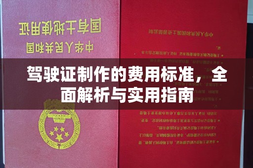 竹南驾驶证制作的费用标准，全面解析与实用指南