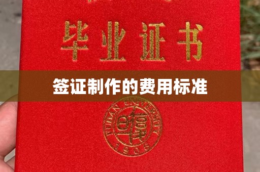 竹南签证制作的费用标准