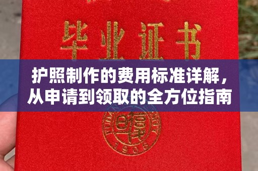 竹南护照制作的费用标准详解，从申请到领取的全方位指南